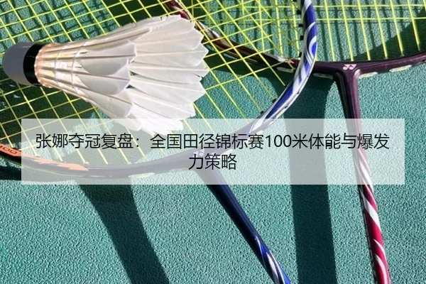 zhang-na-duo-guan-fu-pan-quan-guo-tian-jing-jin-biao-sai-mi-ti-neng-yu-bao-fa-li-ce-lve-2-938.jpg
