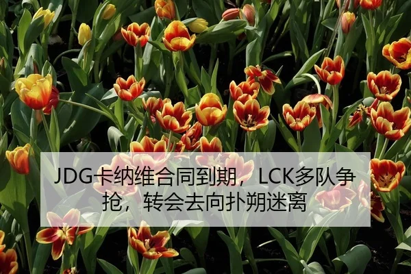 JDG卡纳维合同到期，LCK多队争抢，转会去向扑朔迷离